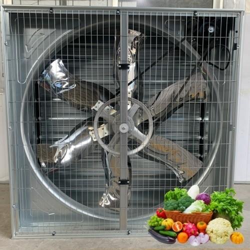 2025 Hot Red Plastic Blade Poultry Exhaust Fan Electric Shutter Exhaust Fans for Factory Greenhouse Low Price Industrial Source
