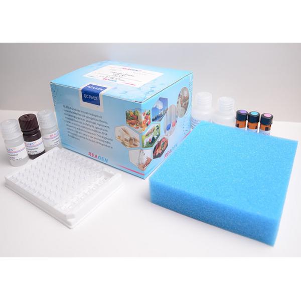 Research Use Vitamin Test Kit / Rapid Vitamin B12 ELISA Test Kit