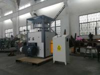 Máquina material granulada da imprensa giratória para a tabuleta do cloro de 300g 350g TCCA