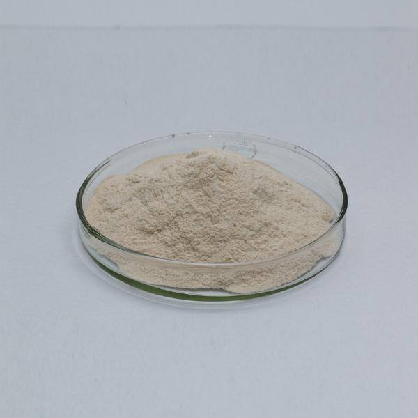 Détergent à base de protéase soluble dans l'eau 2,4 L Activité enzymatique personnalisée