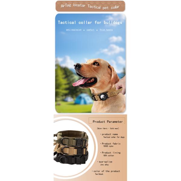 Dog Collar Eco Friendly Nylon Adjustable Pet Collars with Air Tag GPS Tracker Dog Leads