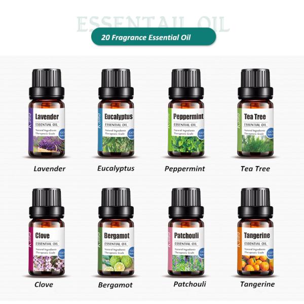 Wholesale 10ml Natural 100% Pure Essential Oil For Aroma Diffuser Body Facial Care SPA Fragrance Aromatherapy