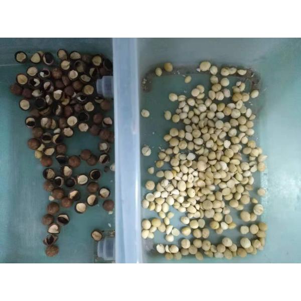 CE WIFI сортируя машины цвета арахиса макадамии грецкого ореха 3 Ton/H удаленный