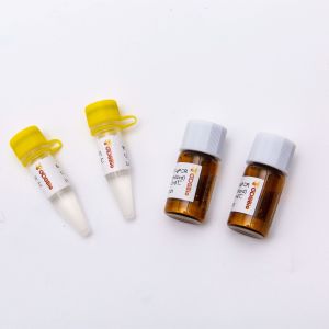 200rxn лиофилизовало смешивание V5007L RT QPCR шага 2X одно мастерское