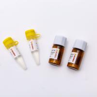 200rxn Lyophilized 2X One Step RT QPCR Master Mix V5007L