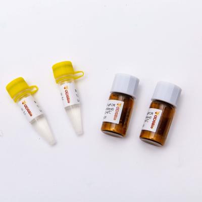 200rxn Lyophilized 2X One Step RT QPCR Master Mix V5007L