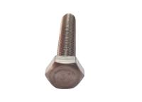 Custom Titanium Alloy Bolt Hexagon Flange Head Professional Supplier