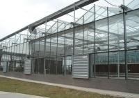 Glass Greenhouses With Thermal Curtain For Perfect Illumination-Deficient Floriculture