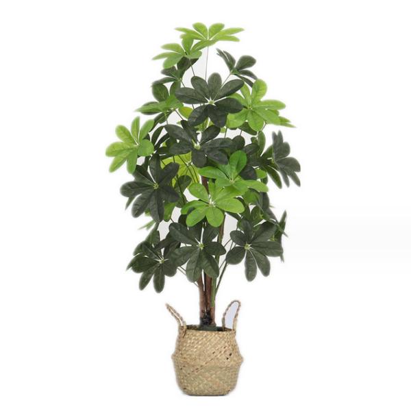 Decoración interior del Office Home de las plantas del árbol del árbol falso en conserva artificial del dinero