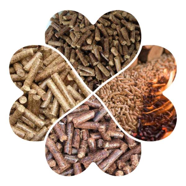 деревянное кольцо шелухи арахиса кокоса машины мельницы лепешки 800-1000kg/H умирает мельница лепешки