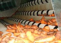 Ligne de production entièrement automatique pour boisson aux fruits de carotte SUS304