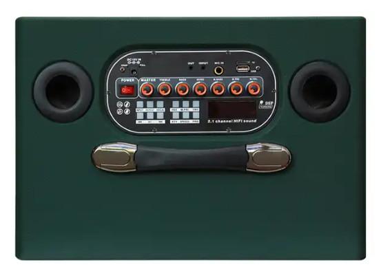 Outdoor Active TWS Portable Wireless Speaker 6.5 Inch 800W With 2 Mic
