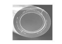 hautes fibres optiques de l'ouverture numérique de 30um 50um 70um 0.56NA 0.64NA (Na)