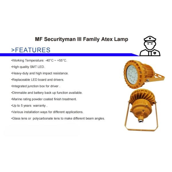Atex Industrial Workshop 60W/80W IP66 Special Chemical Plant Lighting Waterproof LED Explosion Proof Light