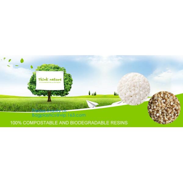 PBAT+PLA 100% Compostable Bio Degradable Vest Shopping Bags, Carrier Small Compostable 100% Oxo Biodegradable Plastic Ba