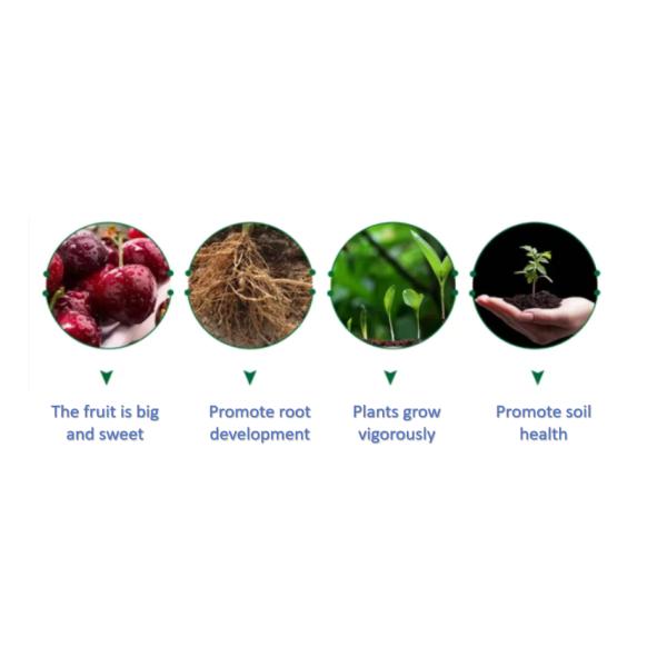 Natural Mineral Origin Potassium Fulvate Powder , Water Soluble Organic Agricultural Fertilizer