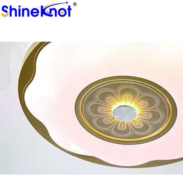 Adjustable E27 LED Bulbs for Remote Control Modern Ceiling AC Motors Lights in Homes