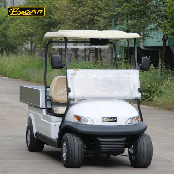 48V Trojan battery Hotel Buggy Car with 2 Seats Aluminum Chassis