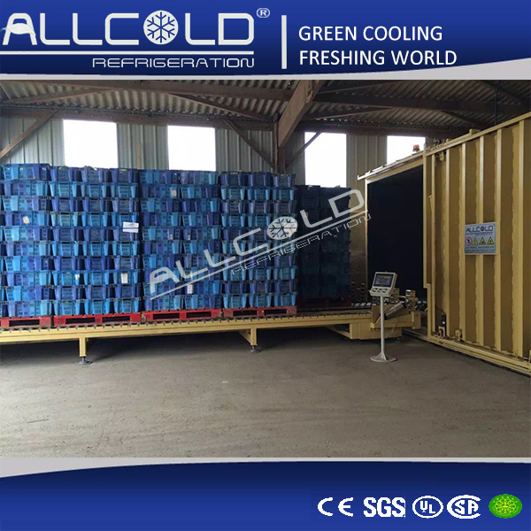 Mushroom Vacuum Coolers