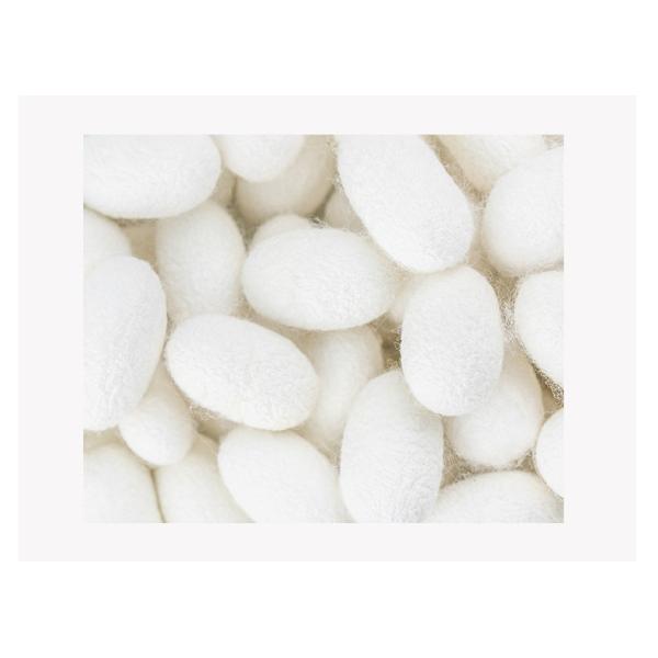 100% Pure Mulberry Silk Pink Oversized Scrunchies Silk Hair Ties Elastics Ponytail Holder