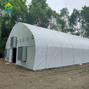 Customized Cannabis Light Dep Solutions Electric Film Roller Blackout Greenhouse
