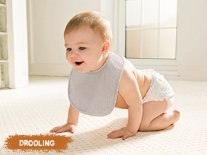 6-Pack Muslin Baby Bibs for Unisex，Cotton Baby Drool Bibs for Drooling and Teething