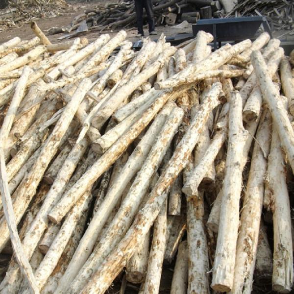 машина вала 15T/H 380v 6m двойная деревянная Debarking