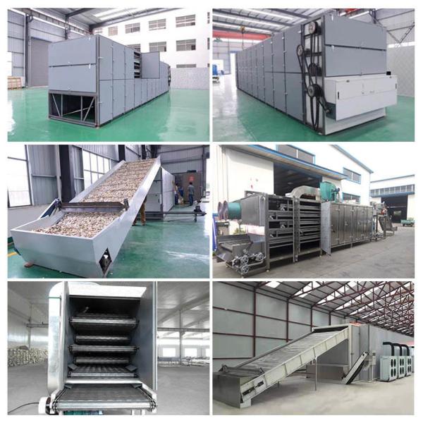 Электрический тепло Роза Касава ремень сушилка машина из нержавеющей стали OEM