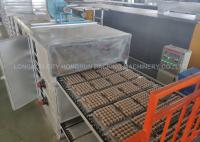 Máquina de papel recicl da bandeja do ovo, bandeja automática do ovo 2000pcs/h que faz a máquina