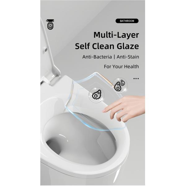 Self Clean Ceramic One Piece Toilet Bowl Luxury S/P Trap Siphonic Jet Customizable