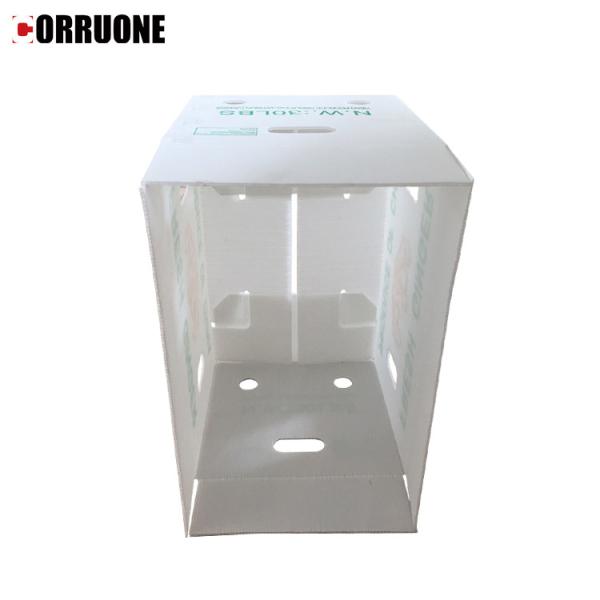 Corflute Recycled Fruit And Vegetable Packaging Boxes Polypropylene