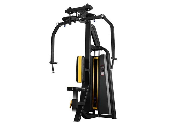 Выборочный Pec Fly/Rear Delt высокое качество и лучший saling