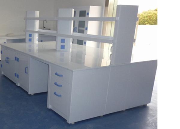 Professional Chemistry Lab Bench High Temperature Resistant Pp Structure