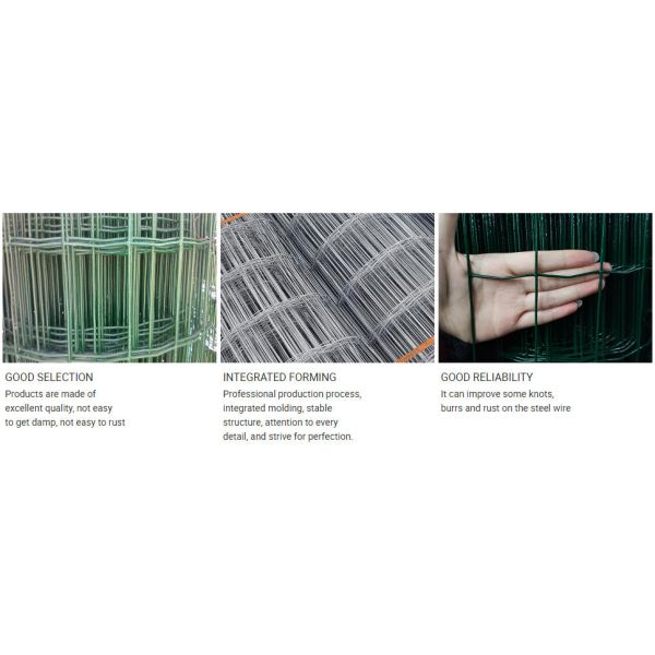 Holland Wire Mesh Euro Wire Welded Mesh Black Wire Welded PVC Coated