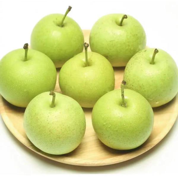 10% Magnesium Amino Acid Chelated Agriculture Fertilizer For Plants