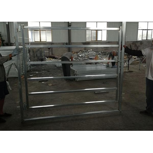 Heavy Duty Galvanized Corral Fence Metal Cattle Panels 40X40 Or 50X50mm