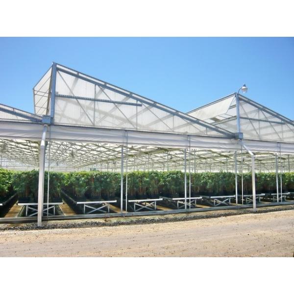 PO/PEP/HDPE Plastic Film Sawtooth Plastic Tunnel Greenhouse