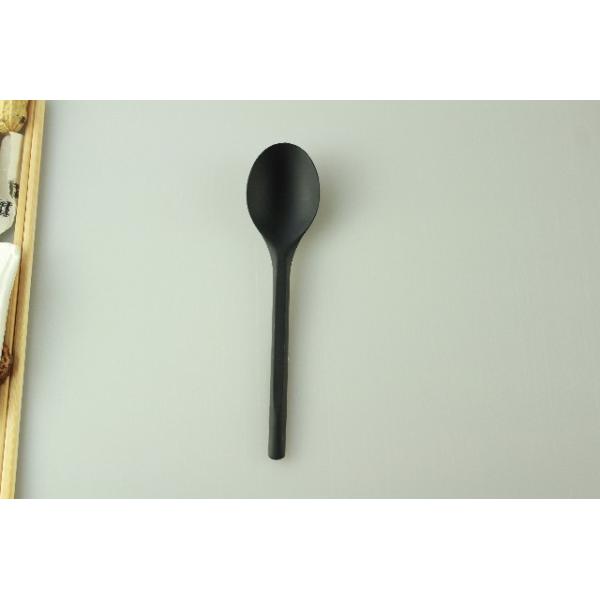 Disposable Spoon Fork Knife Set Biodegradable Option for Catering and Buffet Service