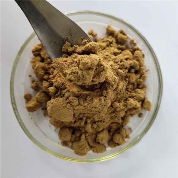 Medicine Grade Detoxification Hedyotis Diffusa Willd Extract