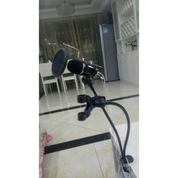 Customized Audio Video Conference Systems Stage Speaker Outdoor Wireless Microphone