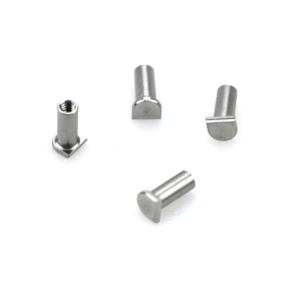 Customized design Stainless Steel 316L Female Screws for Swiss Made Watches Fastening