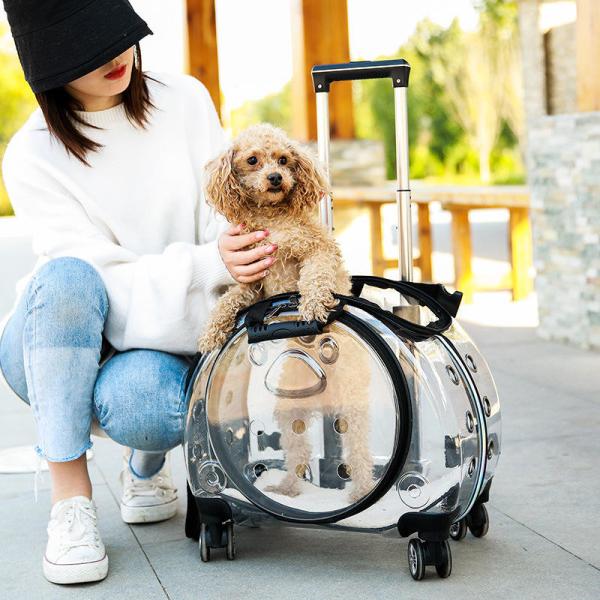 Transparent Capsule Pet Bag Carrier Luggage Case Transparent Trolley Case With Trolley Wheels