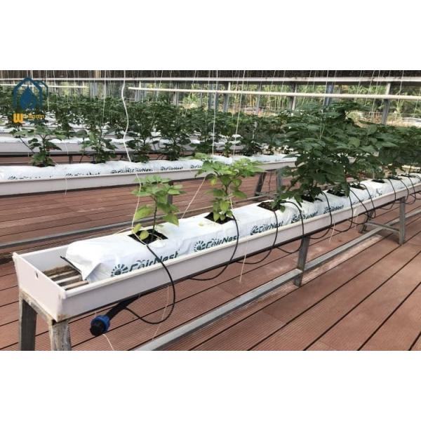 Agricultural Tunnel Greenhouse Industrial Hydroponic System Greenhouse For Tomato And Cucumber