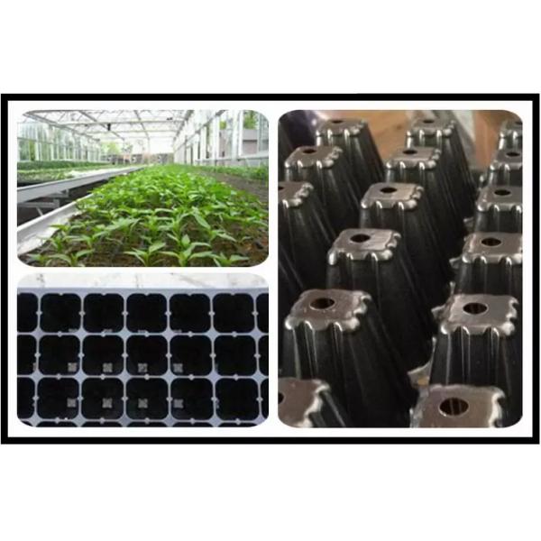 Выбивая Adenium осеменяет подноса саженца подноса удобное Eco пластикового дружелюбное