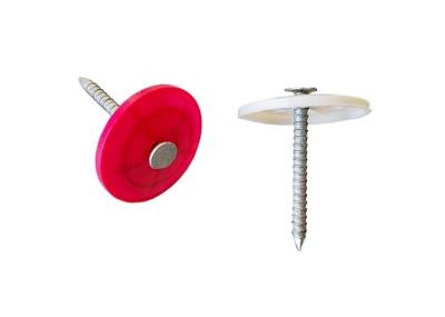Round Head 1 1 2 White Plastic Cap Nails RF-PCN1010