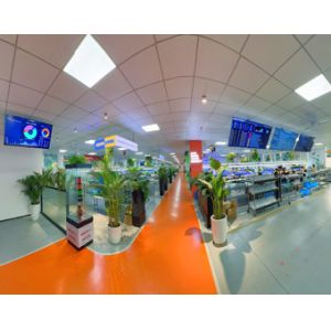 Shenzhen Oujie Lighting Technology Co., Ltd.