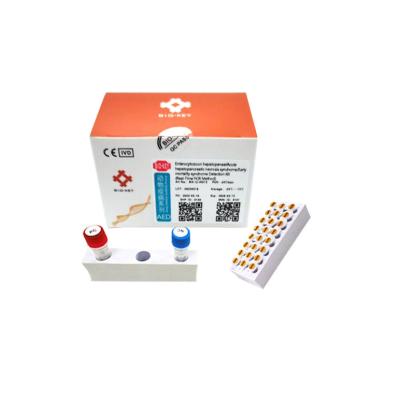 Jogo diagnóstico do PCR Hepatopancreatic do camarão da necrose aguda de Enterocytozoon Hepatopenaei