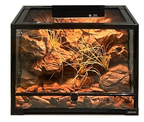 Vivarium décoratif fond de roche étanche à l'humidité pour animal de compagnie d'escalade