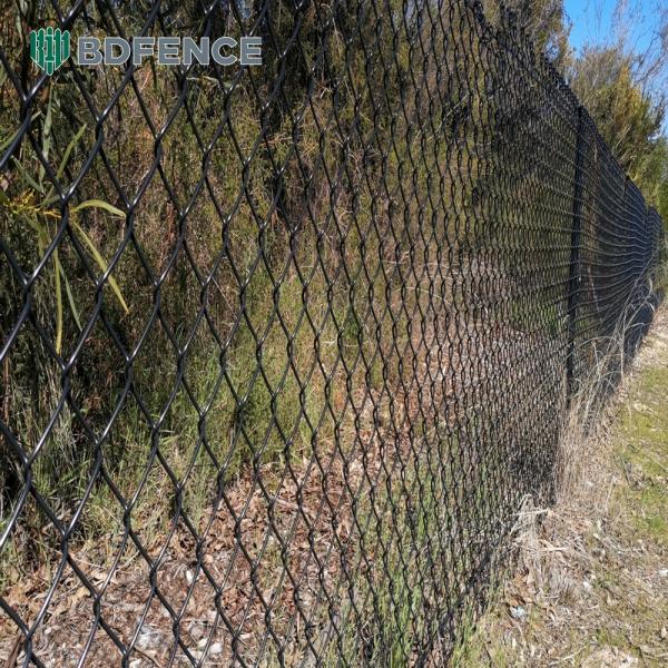 Village Road Chain Link  Fence Livestock
