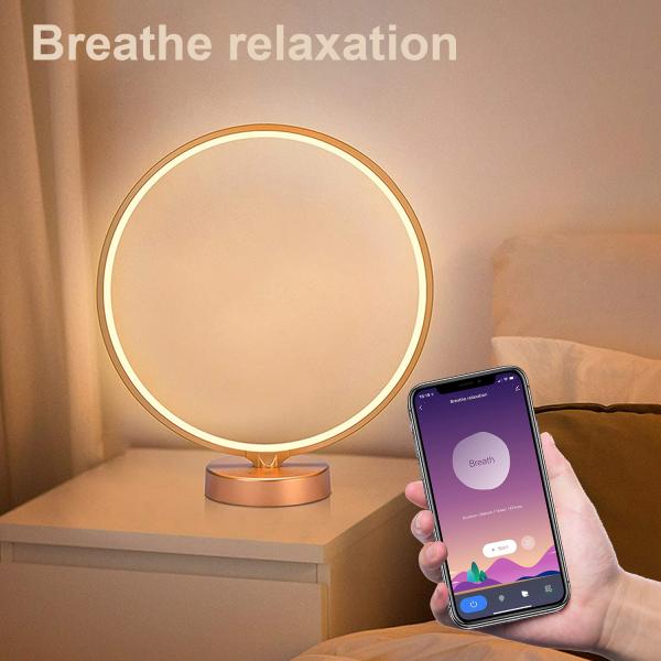 Smart Light Therapy Lamp 10000 Lux with APP-Controlled Adjustable Timer for SAD and Circadian Rhythm